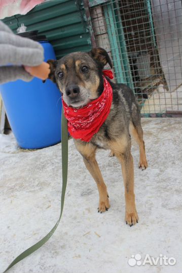 Серхио ищет теплый дом