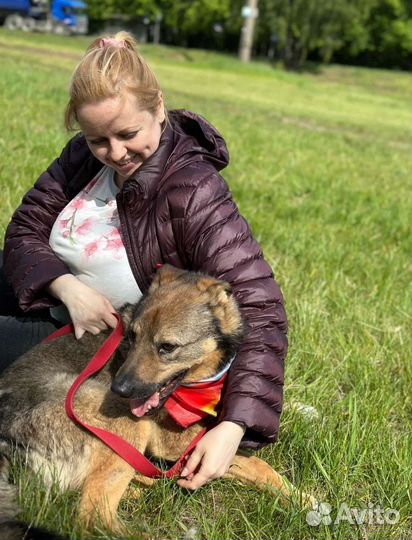 Послушный парень томится в приюте