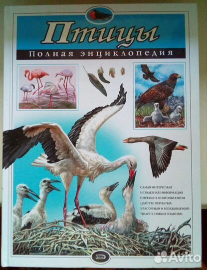 Полная энциклопедия Эксмо для школьников