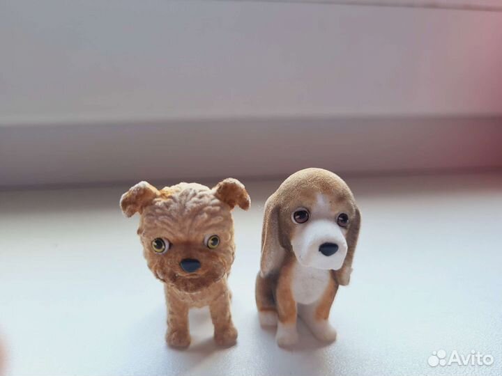 Миниатюры собак