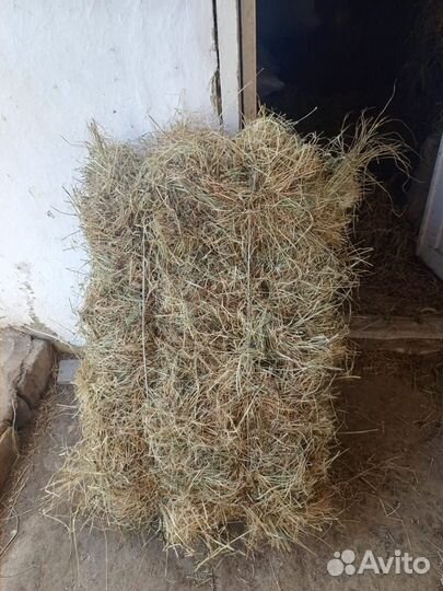 Сено в тюках