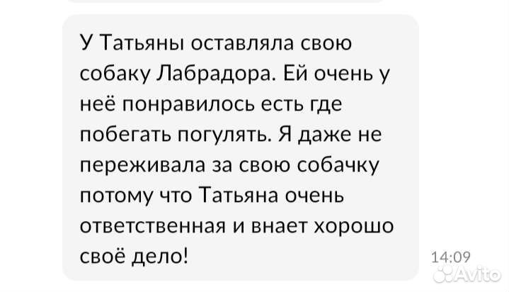 Возьму собак на передержку