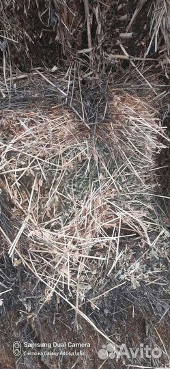 10 львовская