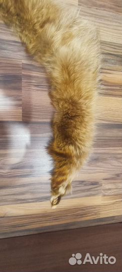 Воротник мех лиса