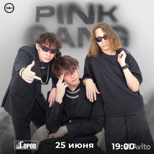 Концерт Pink Gang