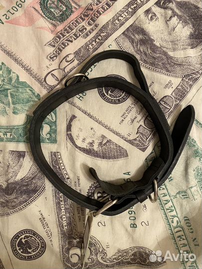 Шлейка для крупных собак