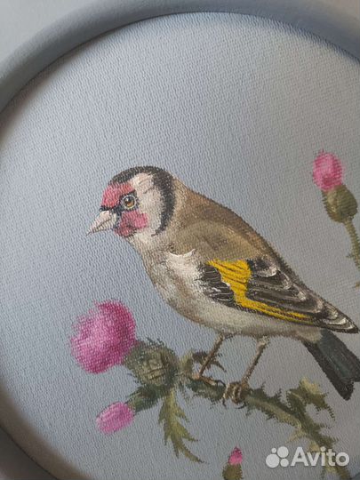 Картина маслом на холсте Щегол