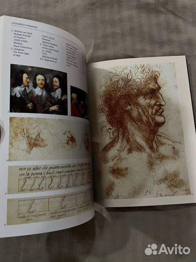 Leonardo art and science книга