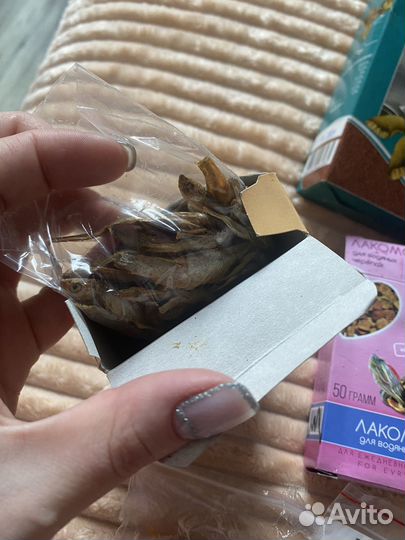 Корм для черепах