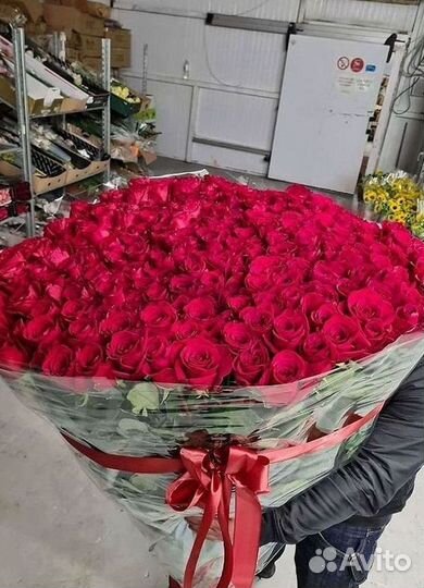 Высокие розы Букеты с доставкой