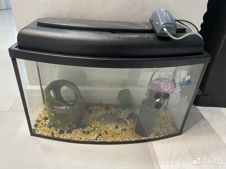 Аквариум