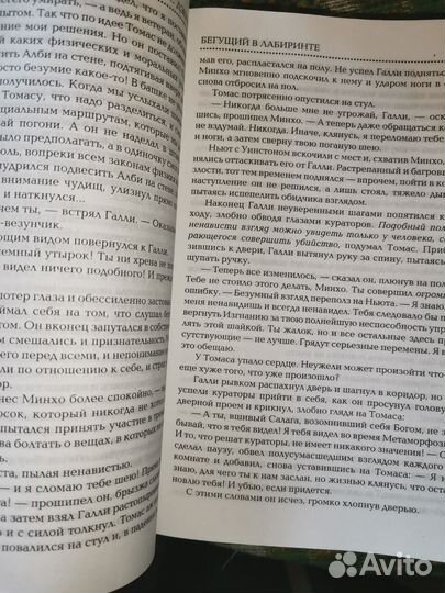 Бегущий в лабиринте книги