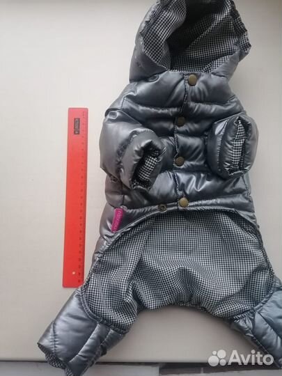 Одежда для средних собак