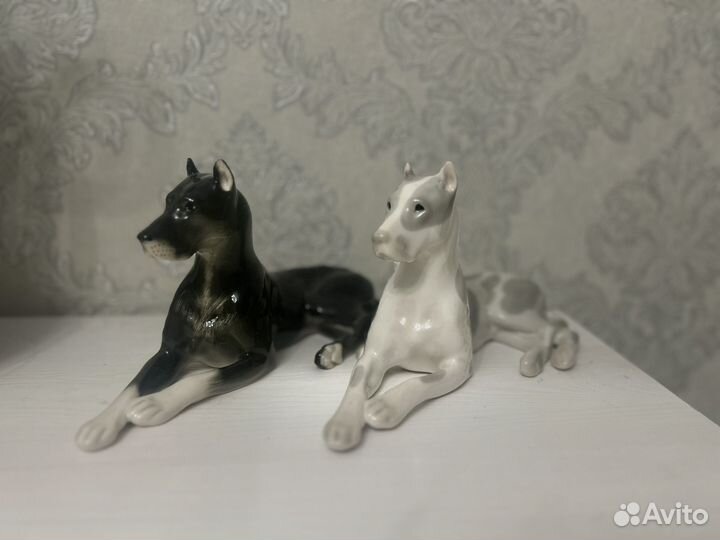 Дог ифз, лфз