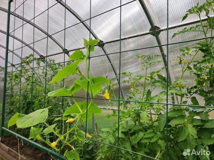 Шпалера металлическая