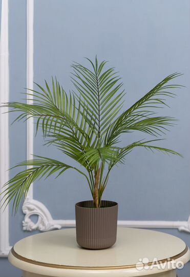 Искусственные растения / Искусственные цветы