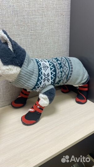 Джемпер, курточка и ботиночки