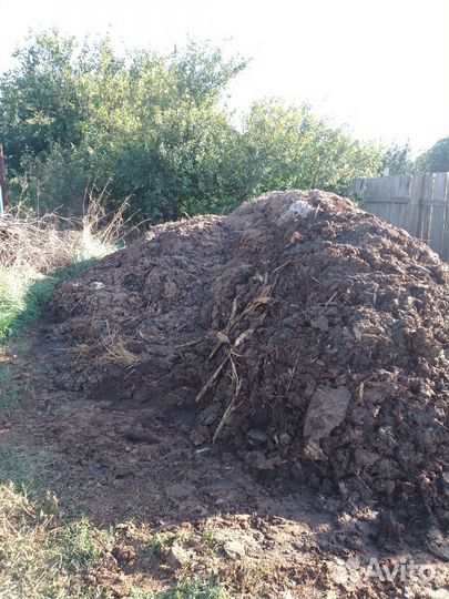 Навоз бесплатно самовывоз