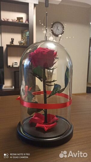 Неувядающая роза в колбе