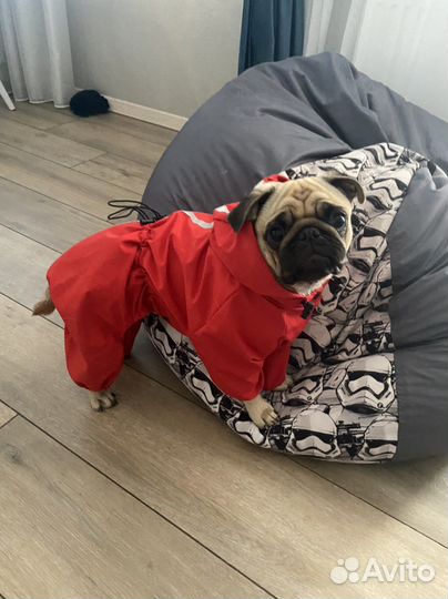 Дождевик для собак