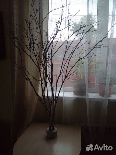 Декоративное дерево