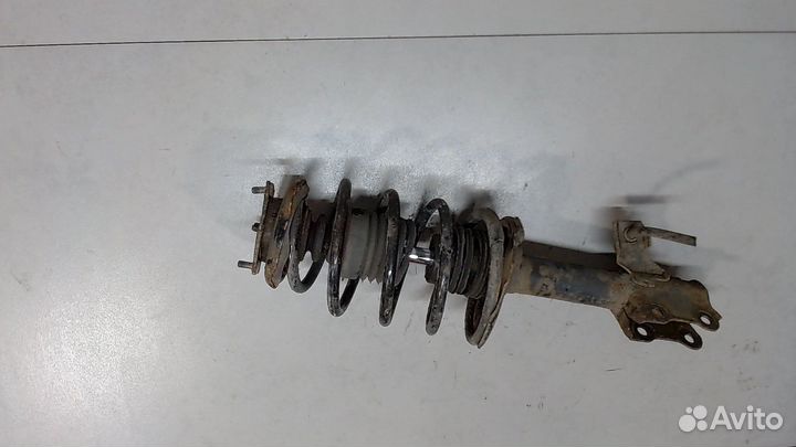 Амортизатор подвески Nissan Almera N16, 2005