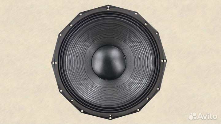 Динамики 21 дюйм 2500/5000 вт aes