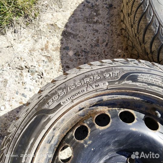 Sava Voyager 205/55 R16