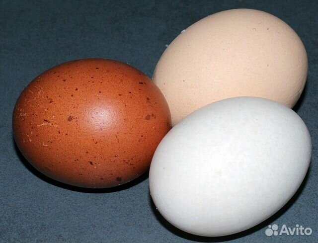 Яйцо домашнее куриное