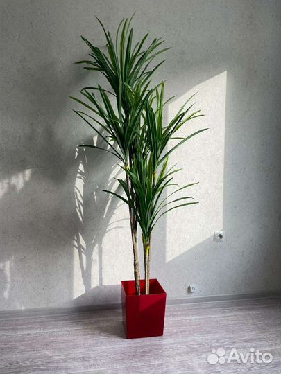 Искусственное дерево,пальма,агава,стрелиция,банан