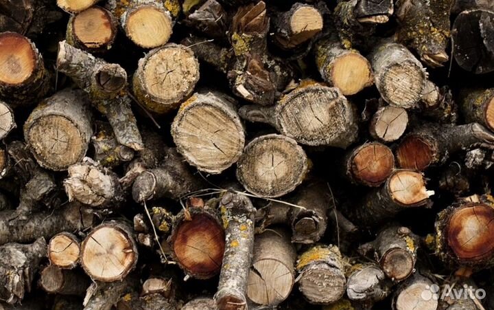Дрова с Приморска