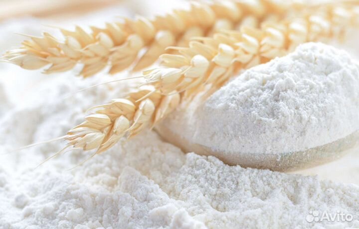 Мука пшеничная оптом