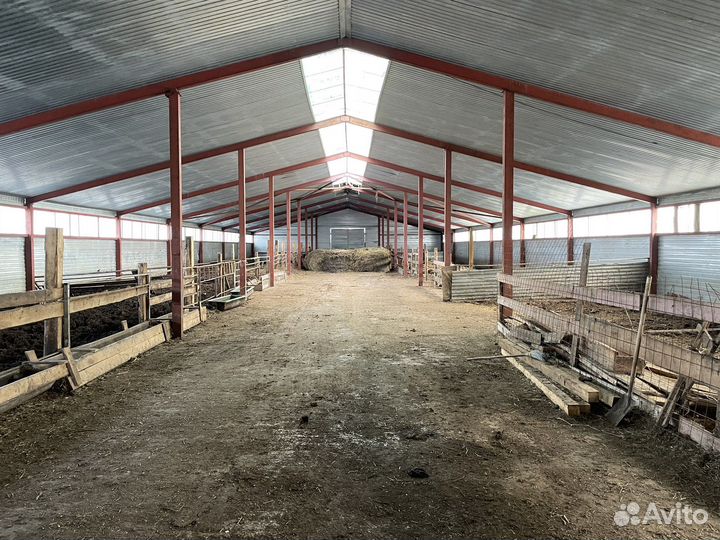 Фермерское хозяйство