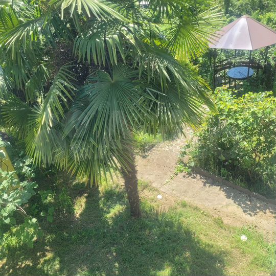 Дом 300 м² на участке 5,5 сот.