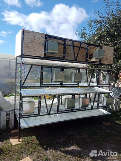 Клетки и брудеры