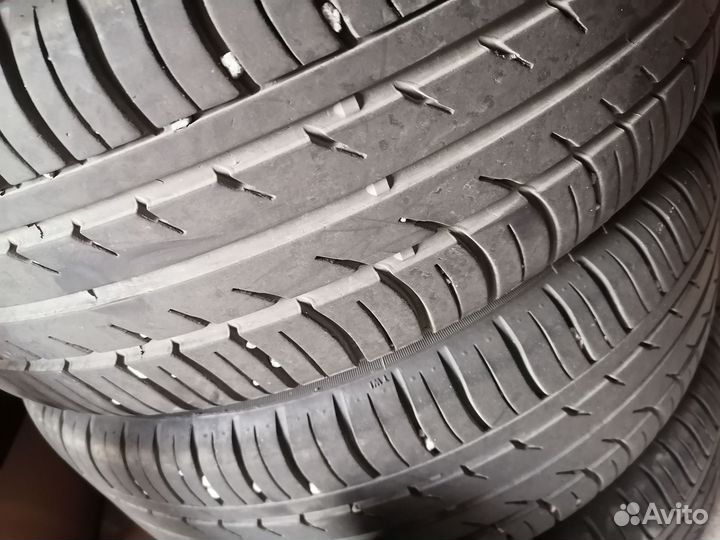 Торусы r14