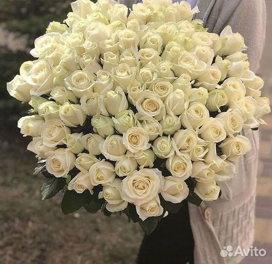 Розы высокие 150 160 170 180 190 200см