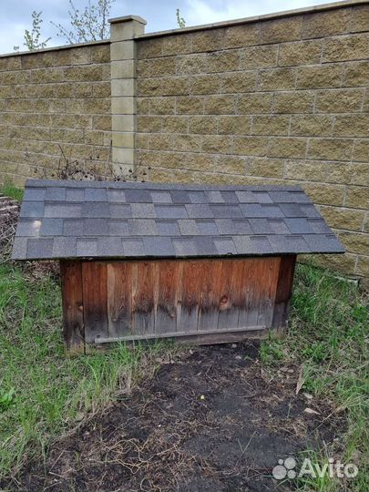 Собачья будка