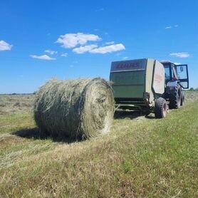 Сено в Катушках и Квадратах.2024г