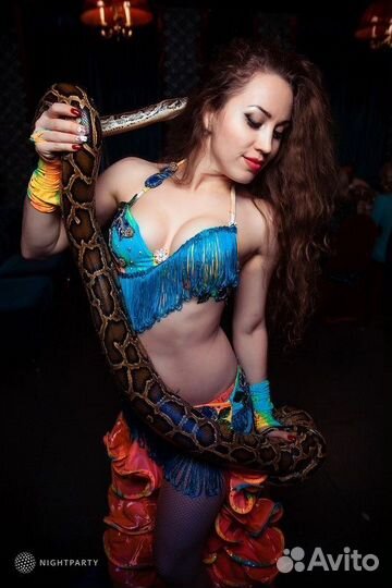 Восточный танец со змеёй, змея в аренду