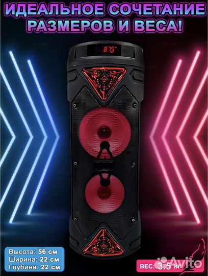 Колонка ZQS 6203