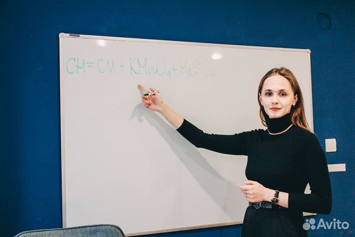 Репетитор подготовка к егэ и огэ Онлайн