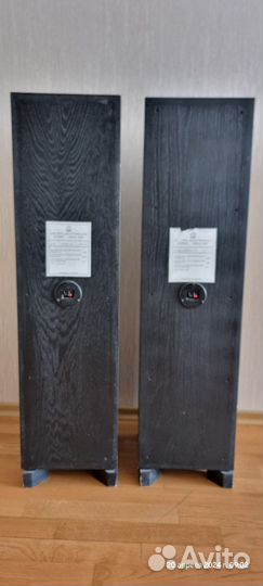 Колонки акустические напольные корвет 100 ас 009