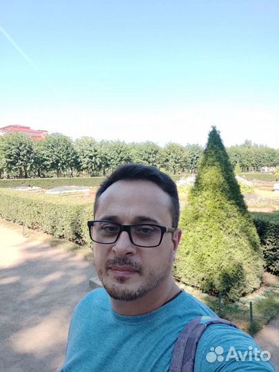 Руководитель, ведущий специалист