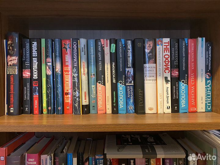 Книги разные устинова донцова шилова курпатов