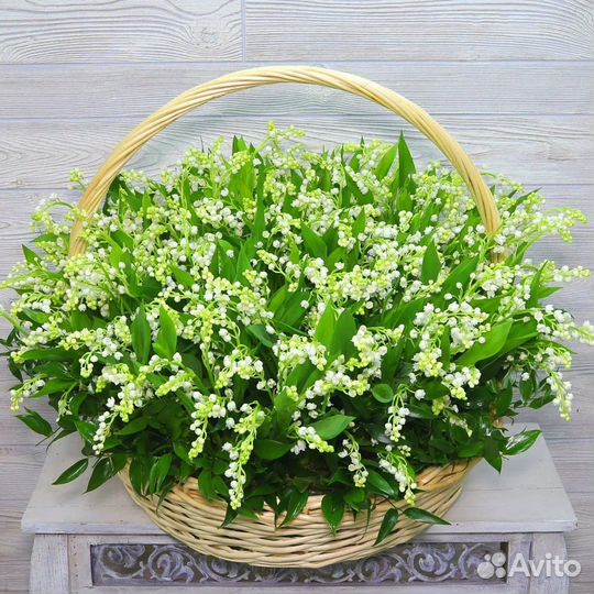 Ландыши Корзина с ландышами цветы букеты