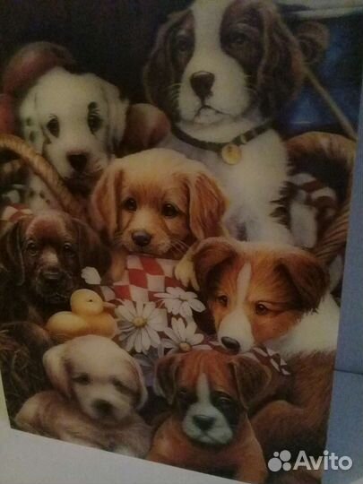 Виниловые картинки на магните