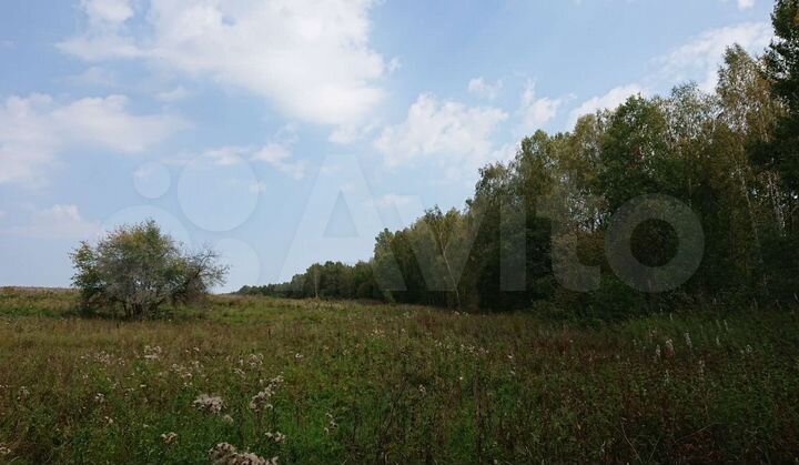 Участок 57,7 га (СНТ, ДНП)