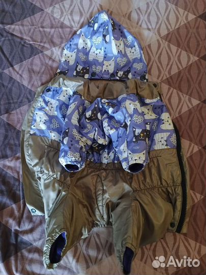 Комбинезон для средней собаки