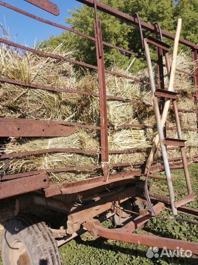 Солома в тюках